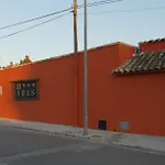 Iris 3* La Eliana