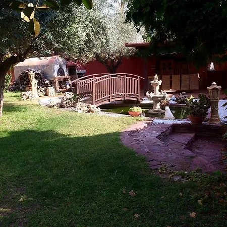 호텔 Iris 라엘리아나