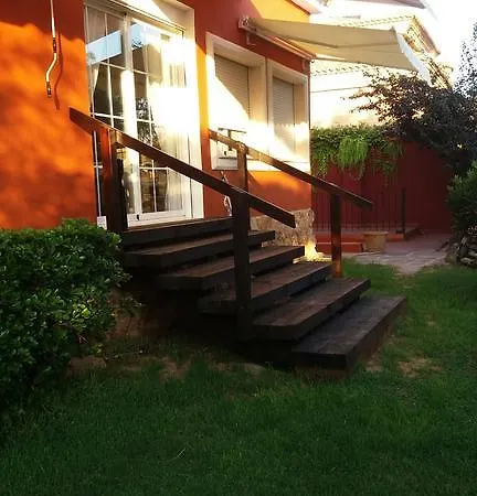 Iris 라엘리아나